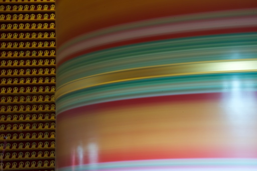 DSC_8626 DSC_8626